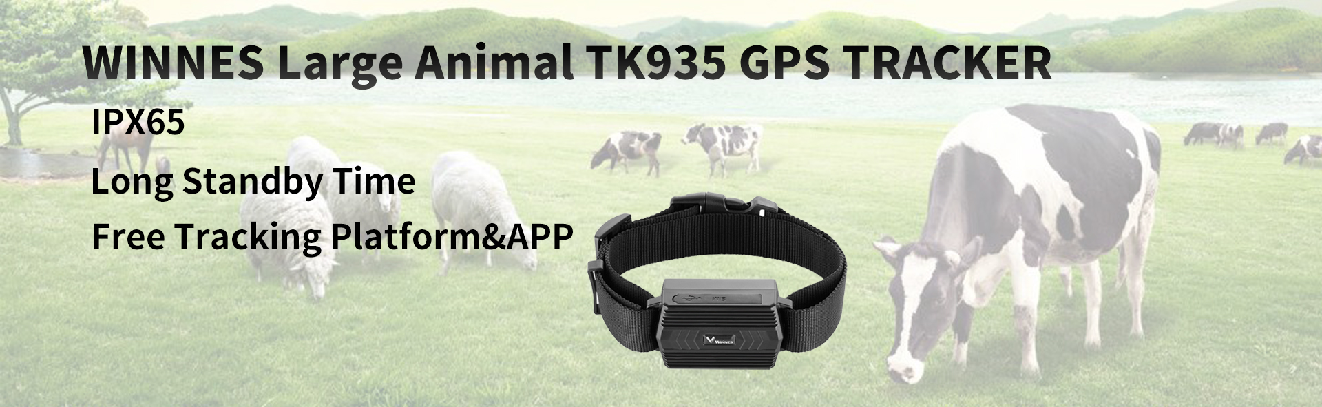 Winnes GPS Tracker pour Vache/Cheval/Mouton/Chameau IP66 étanche